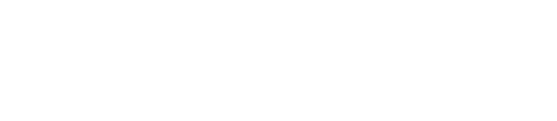 보람BRT